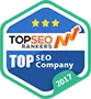 Named #1 Digital Agency in Many Countries! - 球探体育